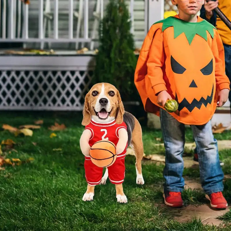 CozaLuxe Basketball Dog Costume